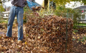 lawn-leaves-fall-winter-rake-care