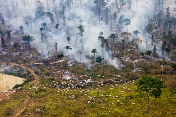 Amazon-rainforest-Brazil-fire