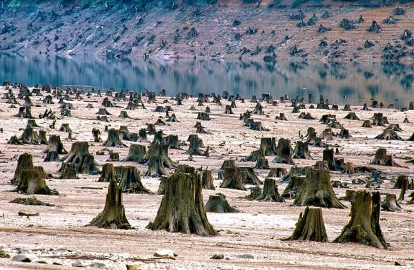 Oregon-Willamette-deforestation-USA