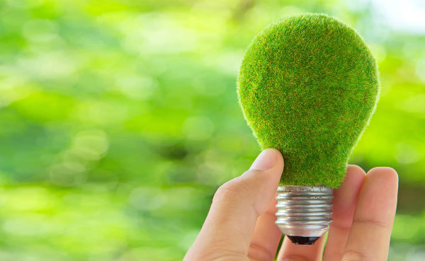 eco-light-bulb-grass-green